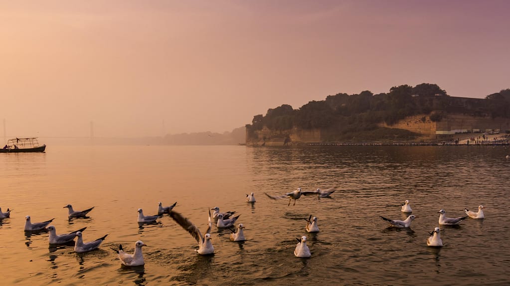 kumbh mela prayagraj